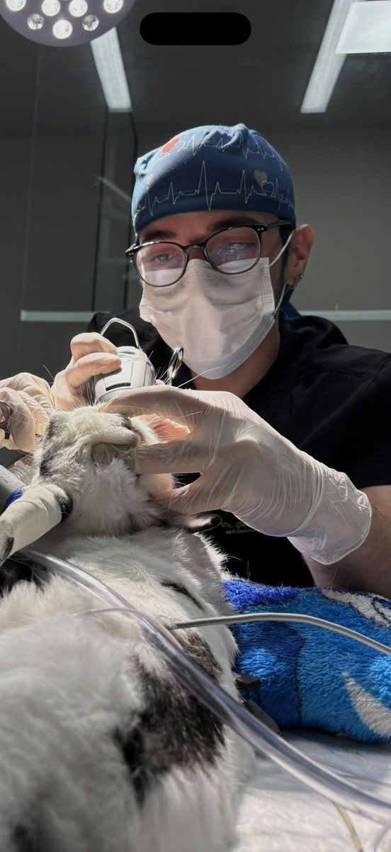 Dr. Gabriel em procedimento